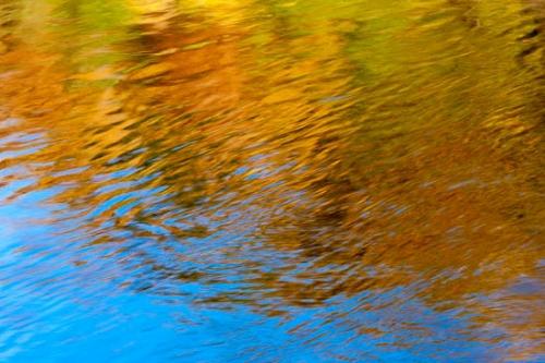 Abstract;Abstraction;Blue;Clinch River;Couchville Cedar Glade State Natural Area;Gold;Green;Horizontal;Kyles Ford;Mirror;Oneness;Orange;Reflection;Reflections;Ripple;Shape;Tennessee;United States;Water;Yellow;zen